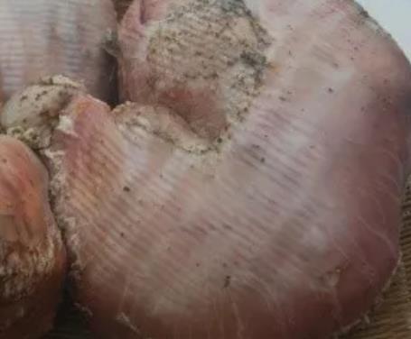 金阳猪香肚:凉山金阳特色美食猪香肚,产地食品猪香肚,产地宝