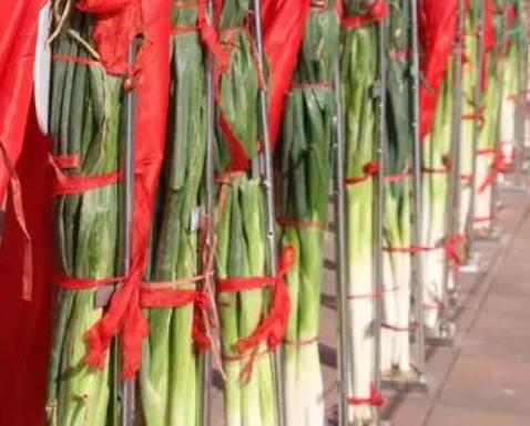 乾县大葱:咸阳乾县特产大葱,产地农产品蔬菜乾县大葱,产地宝