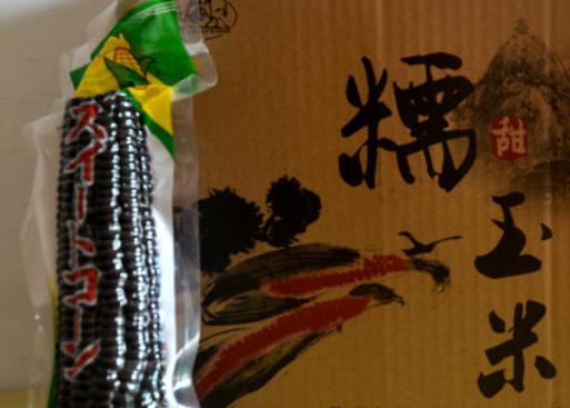 石门山甜糯玉米:咸阳旬邑县石门山特产玉米,产地农产品甜糯玉米,产地宝