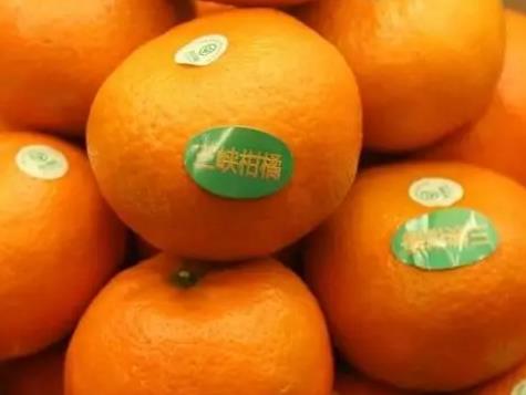 三峡柑橘:重庆万州区特产三峡柑橘,产地水果农产品三峡柑橘,产地宝
