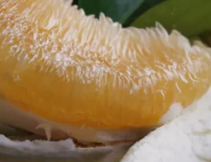 接龙蜜柚:重庆巴南区接龙镇产地特色水果农产品接龙蜜柚,产地宝