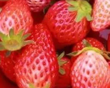 南彭草莓:重庆巴南区特产南彭草莓,产地水果农产品草莓,产地宝
