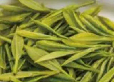 永川秀芽:重庆永川特产茶叶秀芽,地理标志产品绿茶秀芽,产地宝