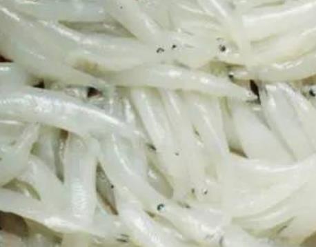 巢湖银鱼:合肥巢湖特产银鱼,产地水产品巢湖三珍巢湖银鱼,产地宝