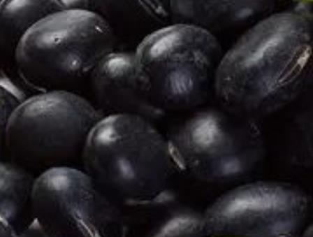 凤阳黑豆:滁州市凤阳县特产黑豆,产地农产品凤阳黑豆,产地宝