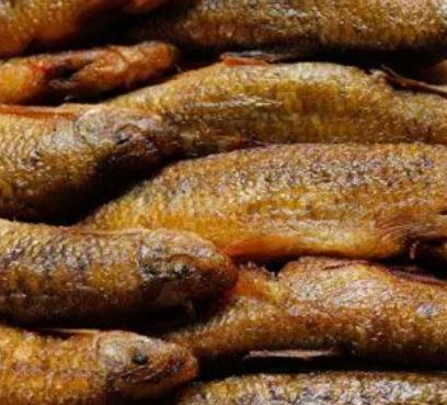 马山红水河油鱼:南宁马山县特产红水河油鱼,产地食品水产品,产地宝